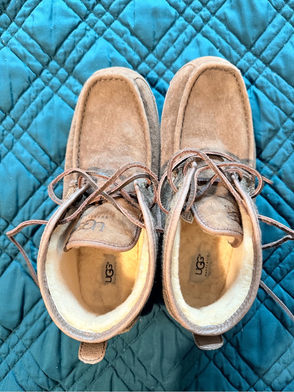 UGG Men's Chestnut Brown Suede Chukka Boots